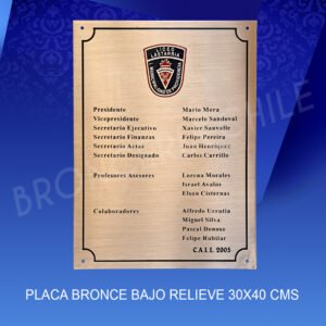 PLACA BRONCE BAJO RELIEVE <br>40x30 cms