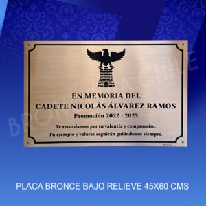 PLACA BRONCE BAJO RELIEVE <br>45x30 cms