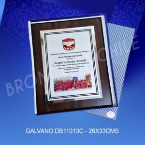Galvano DB11013C <br>26x33cms